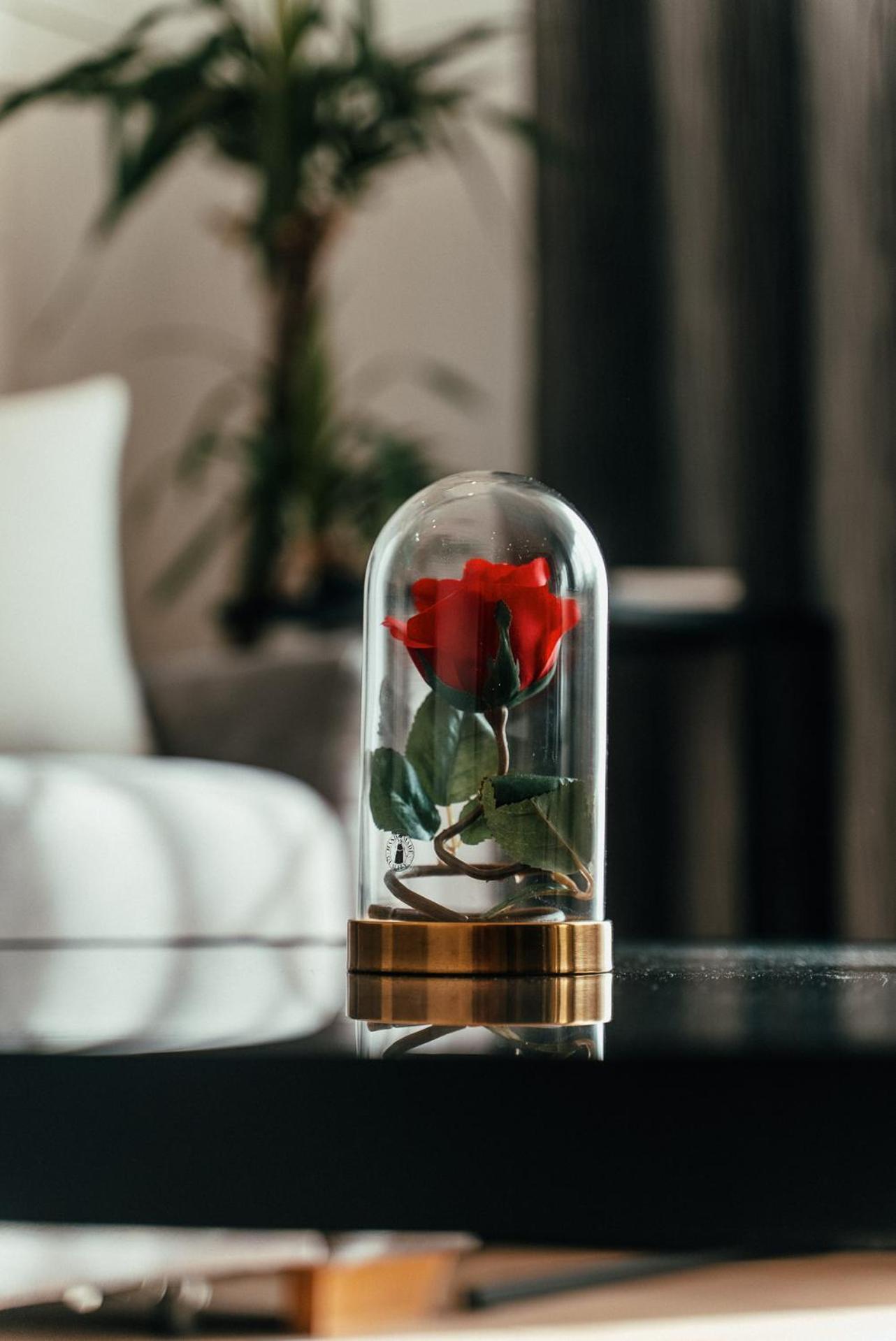 Biarritz Luxury Apartments Belgrad Dış mekan fotoğraf